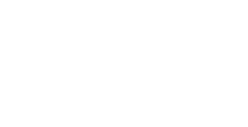 icon representing wordpress website maintenance